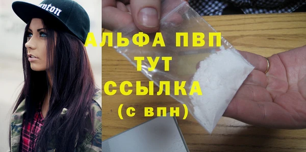 СК Вязьма