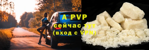 прущий лед Вяземский