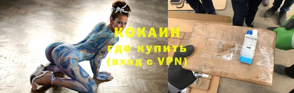 СК Вязьма