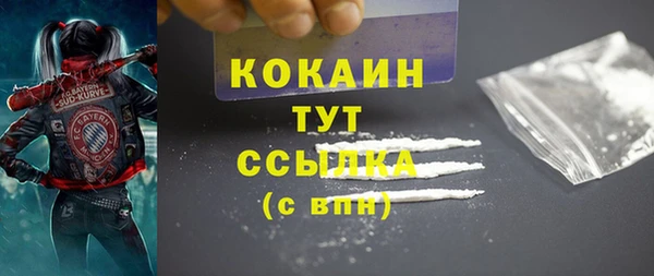 прущий лед Вяземский