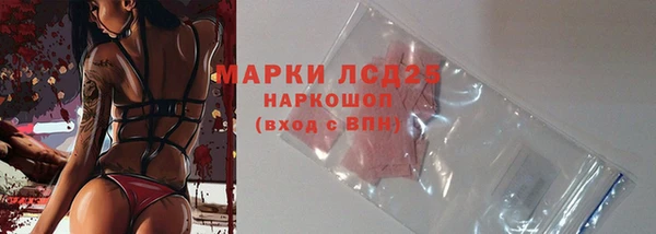 прущий лед Вяземский