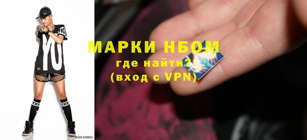 прущий лед Вяземский