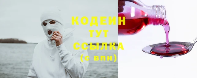 СК Вязьма
