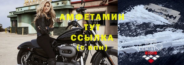 СК Вязьма