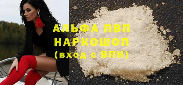 СК Вязьма