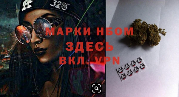 прущий лед Вяземский
