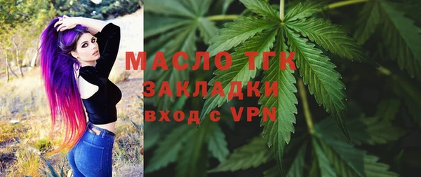 прущий лед Вяземский